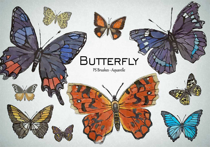 20-butterfly-ps-brushes-abr-vol-7