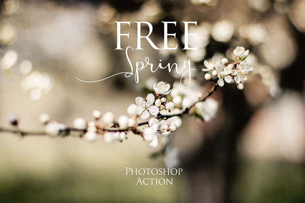 spring-cover-ps-action