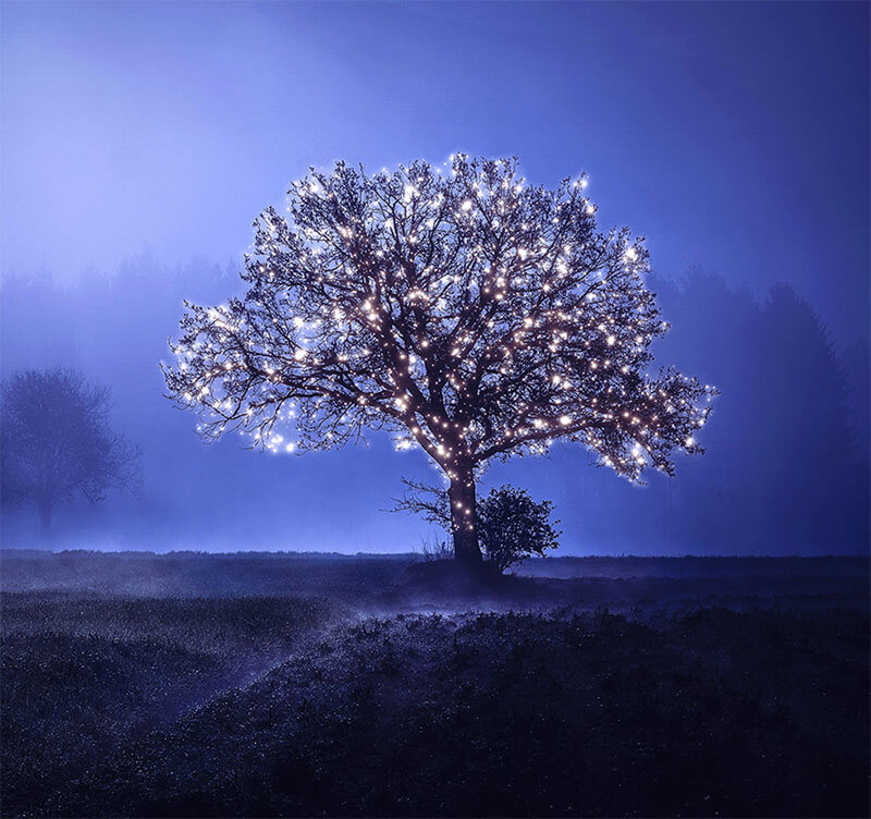 add-lights-to-a-tree