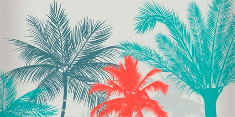 100-palm-trees-brushes