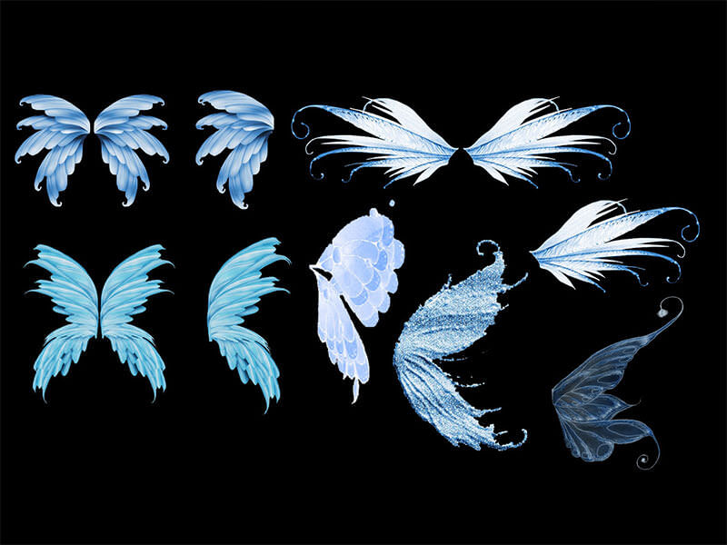 fly-wings-magical