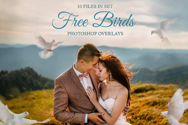 free-bird-overlays-photoshop-banner