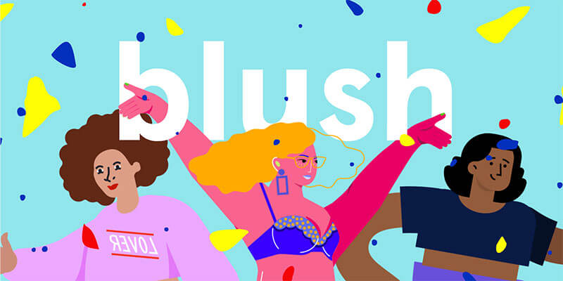 Blush プラグインの画像