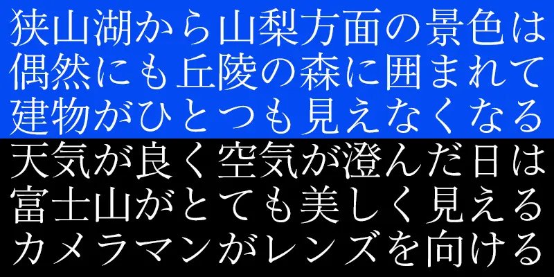 清和堂明朝 L