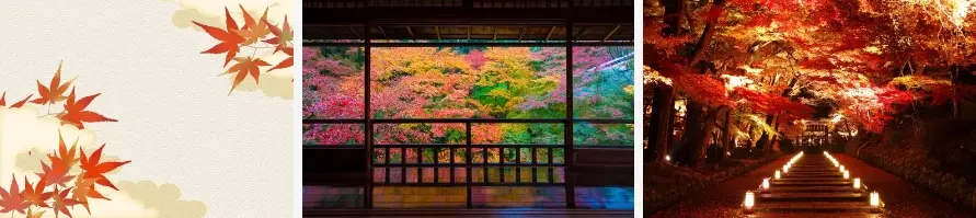 Adobe Stock季節別おすすめ素材 - 紅葉