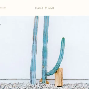 casa mami portfolio